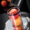 Stellar Stainless Steel Juice Extractor (1000 watt)
